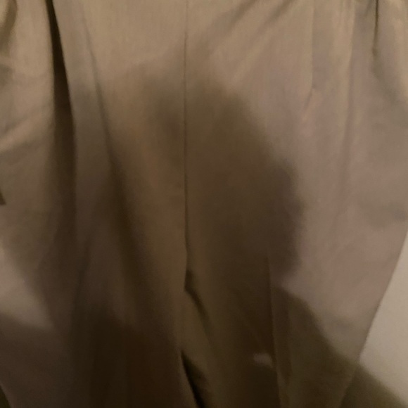 NEW Christy Woman Pleated Slacks - Picture 7 of 8